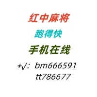 娱乐2.8广东红中赖子全天不熄火  上下分方便