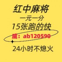 玩家必看1元1分红中麻将群2024已更新微信群