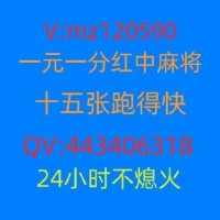 《火爆》24小时一元红中麻将（今日|热榜）